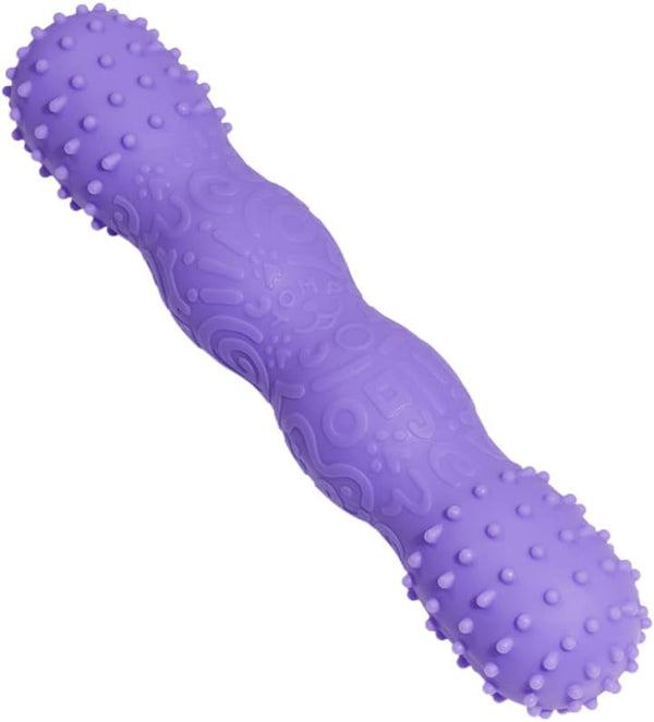 ToothBuddy Dental Chew Dog Bone - Chew Stick for Safe Pet Play, Made from Textured & Non-Toxic Silicone for Soft and