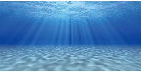 AWERT 24x16 inches Undersea Theme Ocean Floor Aquarium Background Fish Tank Background Polyester Background
