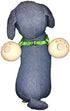 FenceMate Dog Safety Harness to Keep Pets Safe, Small Size Fits Chest 12"-16"