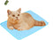 MICROCOSMOS Summer Cooling Mat & Sleeping Pad, Water Absorption Top, Safe Materials, Easy Carry, Blue