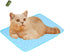 MICROCOSMOS Summer Cooling Mat & Sleeping Pad, Water Absorption Top, Safe Materials, Easy Carry, Blue
