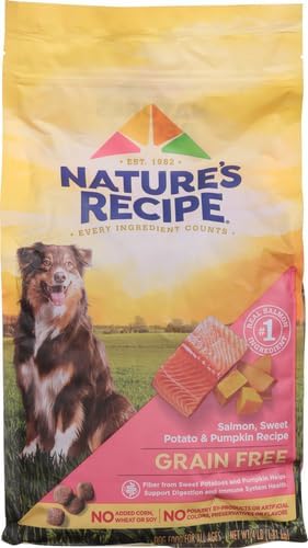 Nature's Recipe Grain Free Salmon, Sweet Potato & Pumpkin Recipe Dry Dog Food, 4 lb. Bag
