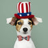 Elegant Little Tail Independence Day Dog Collar, July 4th American Flag Bowtie Collar for Small Dogs, Holiday Pet Gift