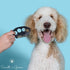 The Fur Hero, Grooming Comb with Embedded Razor Blade for Tangles, Mats, and Eye Gunk, Easy Bonding Experience, Black