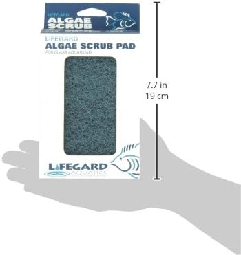 Lifegard Aquatics Blue Algae Pad, 4-Inch by 6-Inch, Black