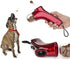 Coolrunner Pet Treat Launcher, Dog Food Catapult for Training, Auto Pets Food Thrower