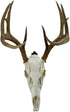 Heavy-Duty Alloy Steel European Skull Mount Hanger, 3 Pack (Black) for Whitetail Deer, Feral Hog, Bear & Exotic Skulls