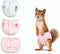HIHETE Squirrel Diapers, 3 PCS Washable Strechable Small Pet Cloth Diapers, Highly Absorbent