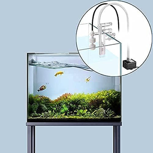 DIGITEN Smart ATO System for Aquarium, Auto Top Off System with Pump, Fish Tank Sump Water Filler Refiller