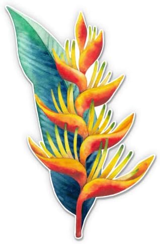 GT Graphics Express Bird of Paradise Flower - Large Size Vinyl Sticker Decal - Outdoor