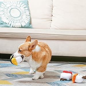 HugSmart Pet Foodie Japan Sushi, 3 Pack Squeaky Soft Plush Dog Toys for Small Dogs, Puppy Toys for Teething