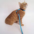 2 Pack Cat Harness and Leash, Adjustable Halter Harness with Nylon Strap, Safety Rope Leads for Kittens