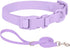 Ovale Waterproof Dog Collar Leash Combo Set, Durable and Easy to Clean for Medium Dogs (M, Purple)