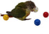 QBLEEV 5 Pack Colorful Bird Bell Balls - Chewing Playing Training Toy for Parrot, Cockatiel, Budgie, Random Color