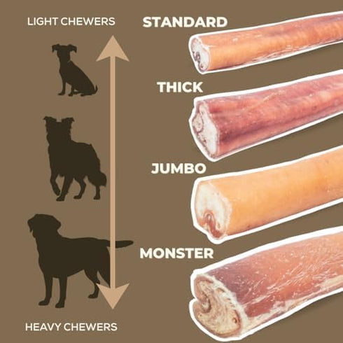 12 Inch 100% (5 Bully Bunches Premium Jumbo Odor-Free Bully Sticks for Medium & Large Dogs - Consistently Sized, Long