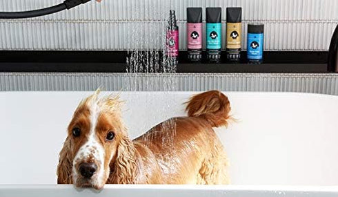 Rufus & Coco Natural Oatmeal Dog Shampoo and Conditioner for Sensitive Skin| Sulfate & Paraben Free | pH Balanced |