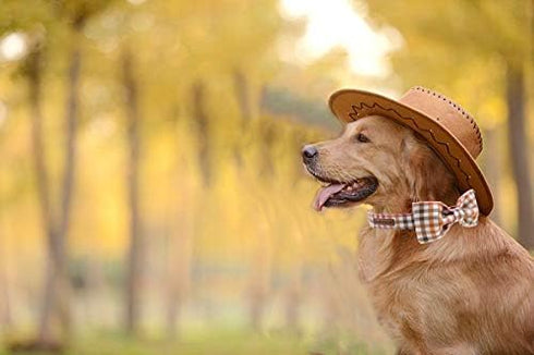 Elegant Little Tail Dog Collar with Bow, Comfortable Adjustable Bowtie Dog Collar for Small Medium Large Dogs and Cats