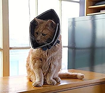 Comfy Cone Pet Cone for Dogs, Cats, Black - Soft Recovery Collar for After Surgery, Wound Care