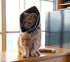 Comfy Cone Pet Cone for Dogs, Cats - X-Small, Black Recovery Collar for Surgery and Wound Care