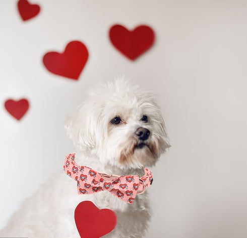 Unique Style Paws Valentine's Day Dog Collar with Bow, Heart Print Cotton Collar for Small Medium Large Dogs