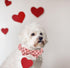 Unique Style Paws Valentine's Day Dog Collar with Bow, Heart Print Cotton Collar for Small Medium Large Dogs