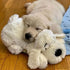 SmartPetLove Snuggle Puppy Heartbeat Stuffed Toy for Dogs | Pet Anxiety Relief and Calming Aid - Golden