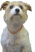 Copper Magnetic Therapy Dog Collars Made to Measure with Magnets in Solid Copper (24 inch)