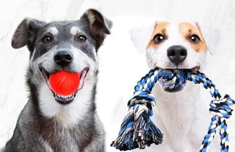 Pacific Pups Large Dog Toys 4 Piece Dog Toy Set for Aggressive Chewers, Dog Tug of War Toys for Large Dogs