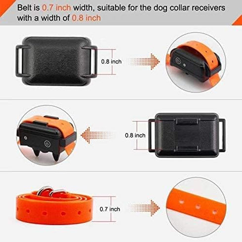 27 ½” X ¾” Replacement Dog Collar Strap Band, 2-Pack for Pet Training, Variety of Colors & Reflective Choices