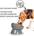 ONTUBE Ceramic Raised Cat Dishes or Small Dog Bowl, Pet Food or Water Bowls, 5.3-Inch 10oz (Gray)