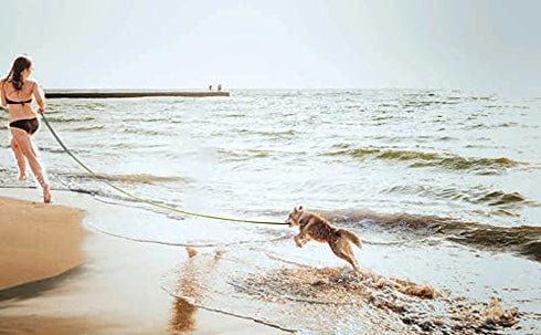 15ft 20ft 30ft 40ft 50ft Long Dog Lead, Obedience Recall Training Leashes for Small Medium Dogs, Rainbow, 1" x 20FT