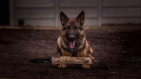 Dingo Gear Tug Toy for Dog Training - Agility Tug of War Jute Dog Bumper with Handle for Aggressive Chewers