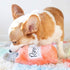 ZippyPaws Happy Hour Crusherz Dog Toy, Crinkle Squeaky Toy for Large and Small Dogs, Pack of 1