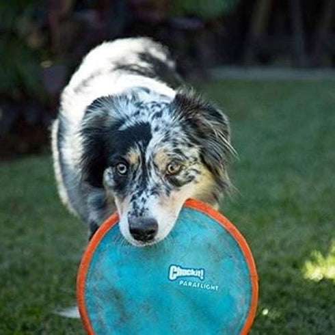 Chuckit Paraflight Flying Disc Dog Toy, Large 9.75", Orange and Blue