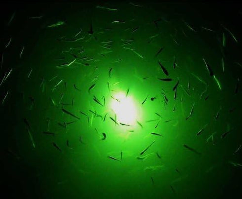 Underwater Fishing LED Light 15w, 12v - Green Light IP68 Waterproof Lamp for Night Fishing, Lure