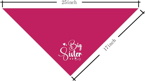 WDSXWH (D23) Big Sister Dog Bandana, Big Sister Bandana for Dog, Dogs Bandanas for Small Medium Dogs, Baby Announcement