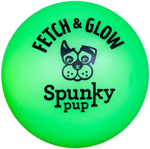 (3 Pack) Large Spunky Pup Fetch & Glow Balls - Assorted Colors
