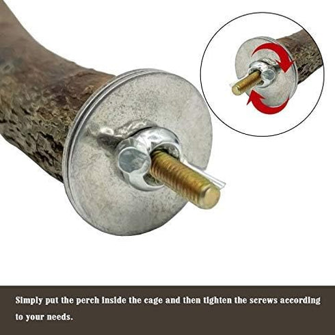 EBaokuup Bird Parrot Perch Set, 10PCS Natural Wood Stand for Budgies, Cockatiels, Conure