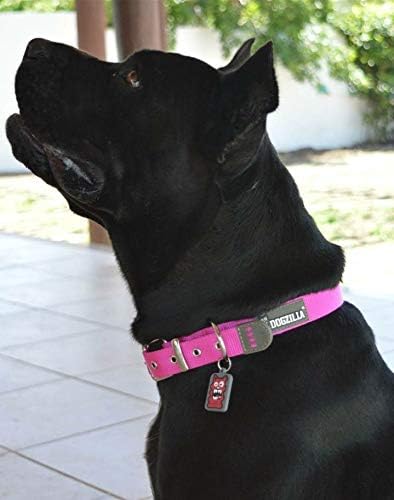 Petmate Dogzilla Collar, 5/8" x 10-16" Adjustable Pink Collar for Medium Dogs