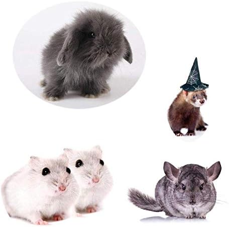 Small Animals Bowl, Detachable Ceramic Feeder for Water & Food, Supplies for Rabbit, Parrot, Hamster, White