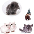 Small Animals Bowl, Detachable Ceramic Feeder for Water & Food, Supplies for Rabbit, Parrot, Hamster, White