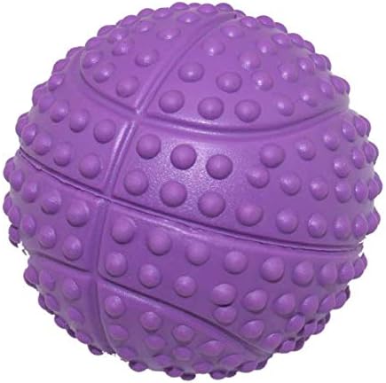 Dog Squeaky Toys, Non-Toxic Rubber Play Balls for Puppy Small Medium Dogs, Interactive Chew Toy, Pack of 4