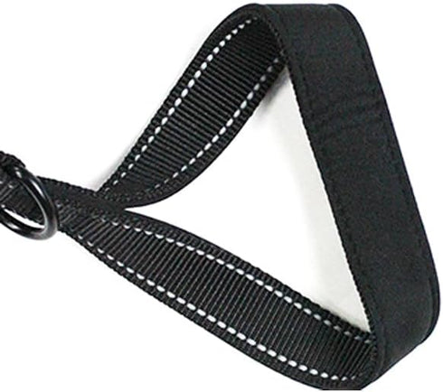 MODUS Reflective Leash for Dogs - Double-Sided Nylon Training Leash with Padded Handle, 6.6FT/15FT