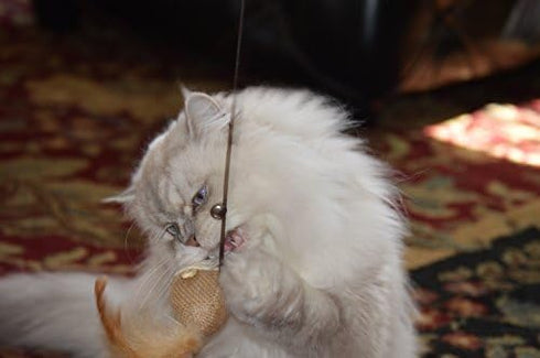 Cat Teaser Wand Toys with 2 Wool Felt Ball Toys, Sisal Mice, Feather, Elastic String, Sturdy Wood Stick