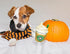 Parody Star Pups Coffee Dog Toy, Pup'kin Spice Latte, Funny Plush Squeaky Holiday Toys for Medium, Small, Large Dogs