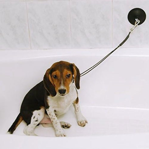 Stay-N-Wash Dog Grooming Tub Restraint and Pet Bathing Tether