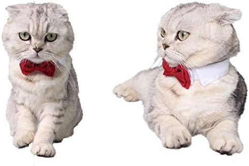 Selected Adjustable Dog Bow Tie - Puppy Pet Costume Collar, Formal Bowtie for Dogs & Cats, Red
