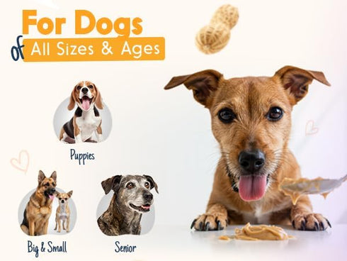 (Set 2/ 17oz Ruff Ruff Raw + Pumpkin Pup Buddy BUDDER, Natural Peanut Butter for Dogs, Made in USA of Jars)