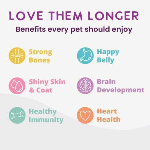 Immunity, 9 oz (Pack 10) Health Extension Gently Cooked Beef & Potato Dog Food, Human-Grade and Shelf-Stable