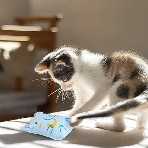 Dorakitten Catnip Toys for Indoor Cats - 5PCS Plush Chew Toys Teething Interactive Catnip Filled
